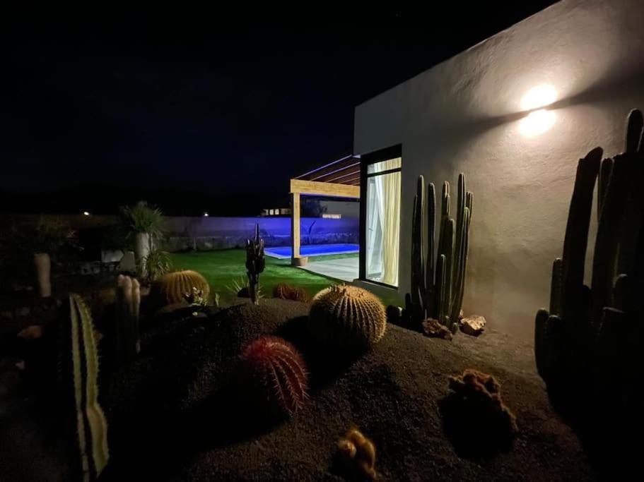 Bungalow + Piscina Independiente La Oliva Exteriör bild